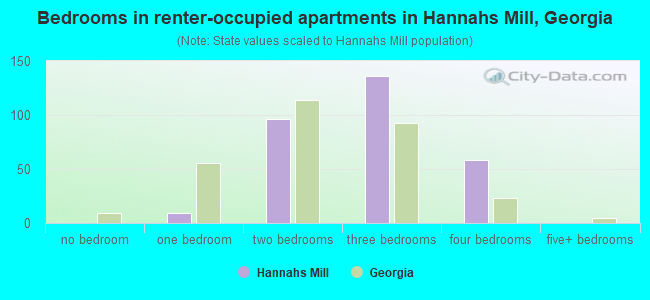 Bedrooms in renter-occupied apartments in Hannahs Mill, Georgia