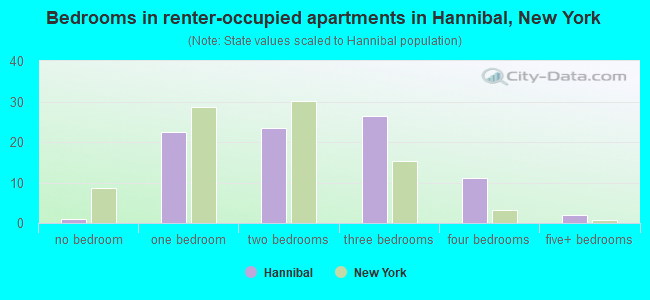 Bedrooms in renter-occupied apartments in Hannibal, New York