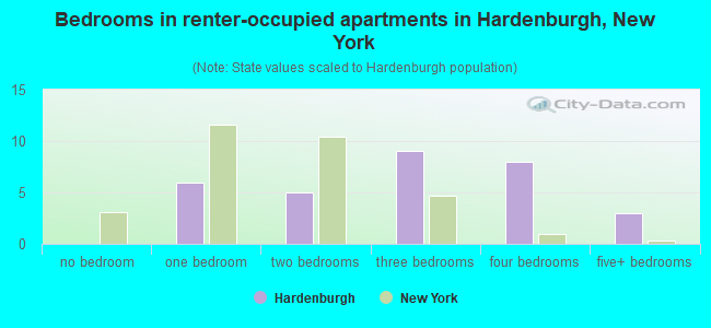 Bedrooms in renter-occupied apartments in Hardenburgh, New York