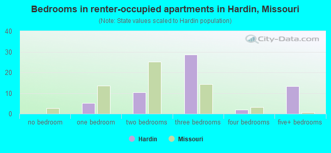 Bedrooms in renter-occupied apartments in Hardin, Missouri