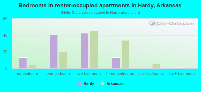 Bedrooms in renter-occupied apartments in Hardy, Arkansas