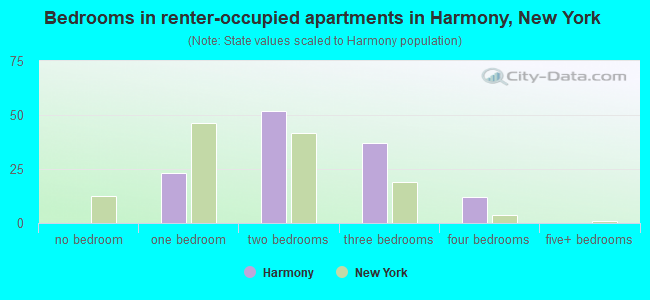 Bedrooms in renter-occupied apartments in Harmony, New York
