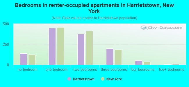 Bedrooms in renter-occupied apartments in Harrietstown, New York