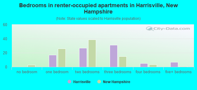 Bedrooms in renter-occupied apartments in Harrisville, New Hampshire
