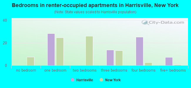 Bedrooms in renter-occupied apartments in Harrisville, New York