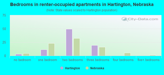 Bedrooms in renter-occupied apartments in Hartington, Nebraska