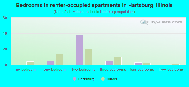 Bedrooms in renter-occupied apartments in Hartsburg, Illinois