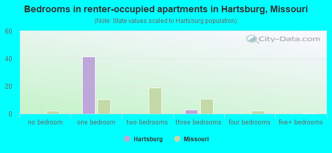 Bedrooms in renter-occupied apartments in Hartsburg, Missouri