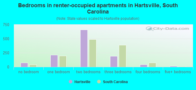Bedrooms in renter-occupied apartments in Hartsville, South Carolina