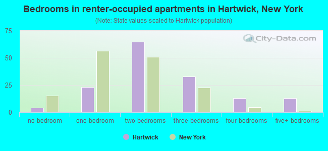 Bedrooms in renter-occupied apartments in Hartwick, New York