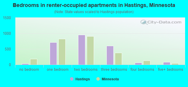 Bedrooms in renter-occupied apartments in Hastings, Minnesota