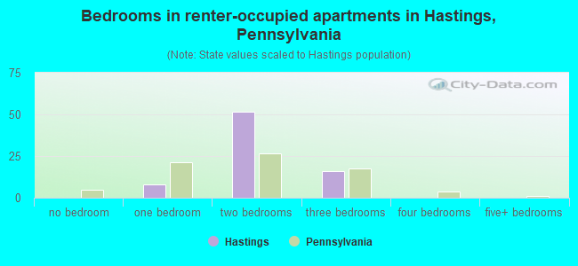Bedrooms in renter-occupied apartments in Hastings, Pennsylvania