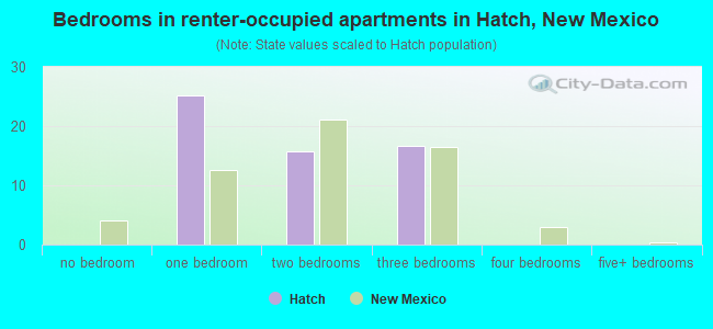 Bedrooms in renter-occupied apartments in Hatch, New Mexico