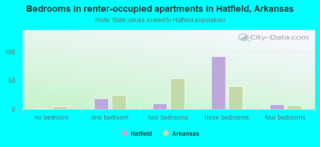 Bedrooms in renter-occupied apartments in Hatfield, Arkansas