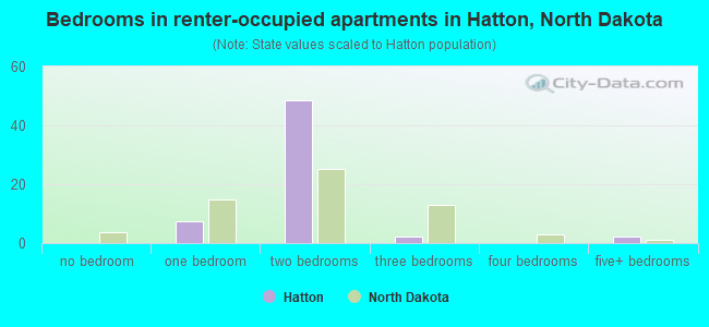 Bedrooms in renter-occupied apartments in Hatton, North Dakota