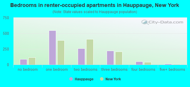 Bedrooms in renter-occupied apartments in Hauppauge, New York