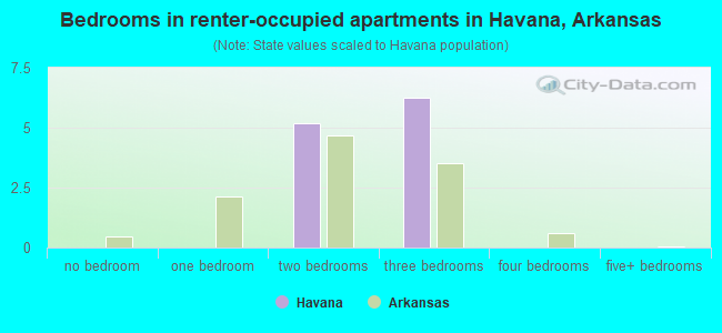 Bedrooms in renter-occupied apartments in Havana, Arkansas