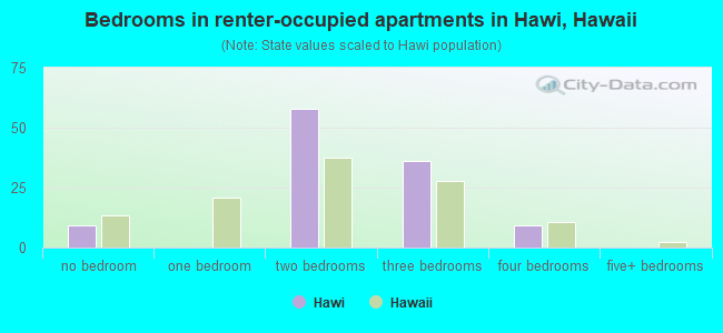 Bedrooms in renter-occupied apartments in Hawi, Hawaii