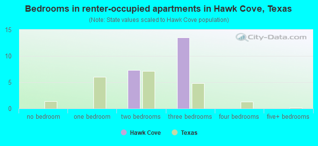 Bedrooms in renter-occupied apartments in Hawk Cove, Texas