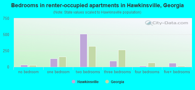 Bedrooms in renter-occupied apartments in Hawkinsville, Georgia