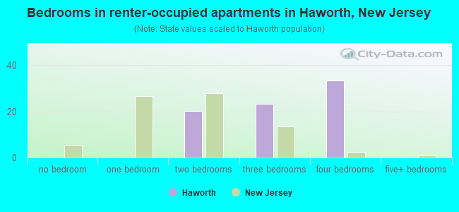 Bedrooms in renter-occupied apartments in Haworth, New Jersey