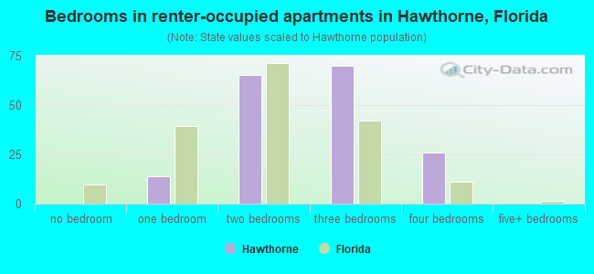 Bedrooms in renter-occupied apartments in Hawthorne, Florida