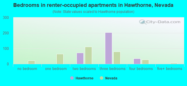 Bedrooms in renter-occupied apartments in Hawthorne, Nevada