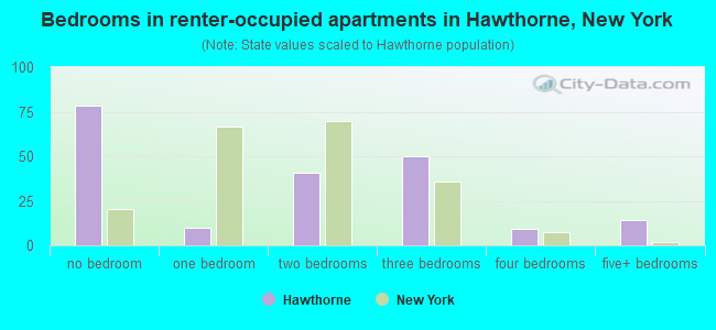 Bedrooms in renter-occupied apartments in Hawthorne, New York