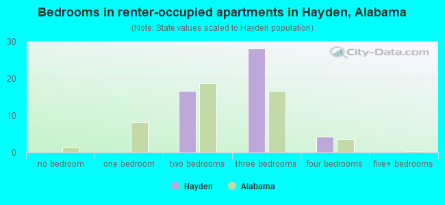 Bedrooms in renter-occupied apartments in Hayden, Alabama