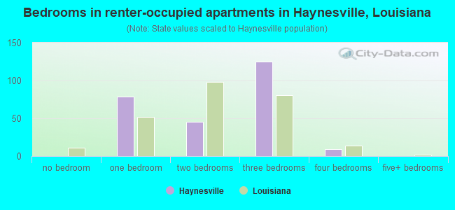 Bedrooms in renter-occupied apartments in Haynesville, Louisiana