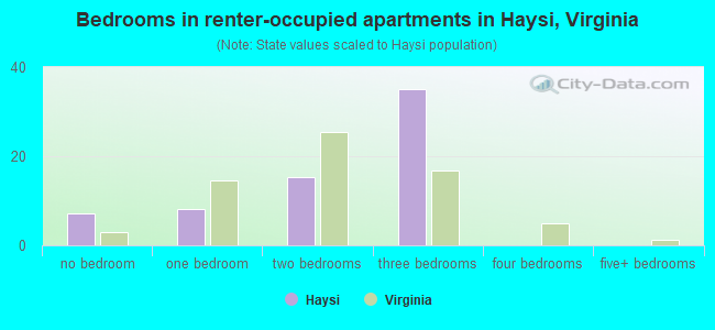 Bedrooms in renter-occupied apartments in Haysi, Virginia