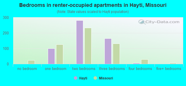 Bedrooms in renter-occupied apartments in Hayti, Missouri