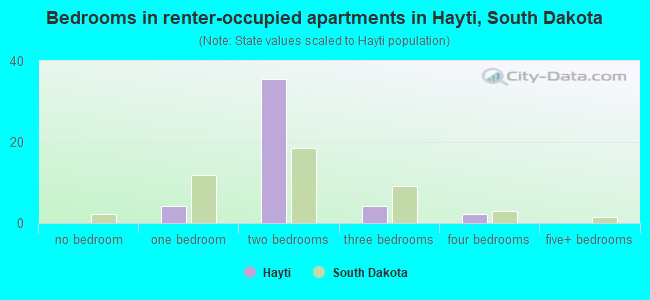 Bedrooms in renter-occupied apartments in Hayti, South Dakota
