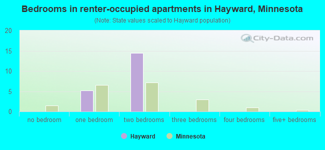 Bedrooms in renter-occupied apartments in Hayward, Minnesota