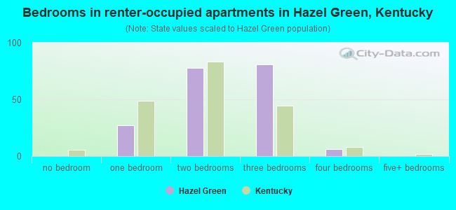 Bedrooms in renter-occupied apartments in Hazel Green, Kentucky