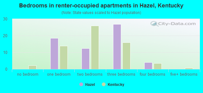 Bedrooms in renter-occupied apartments in Hazel, Kentucky