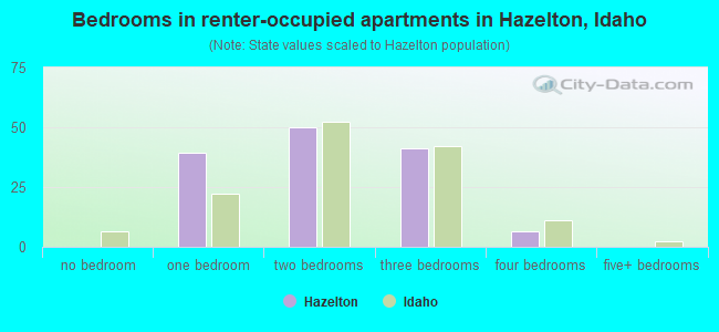 Bedrooms in renter-occupied apartments in Hazelton, Idaho