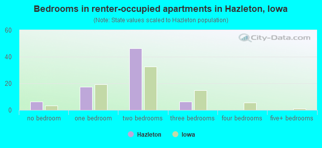 Bedrooms in renter-occupied apartments in Hazleton, Iowa