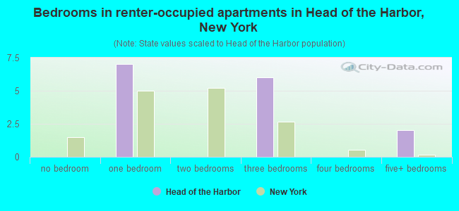 Bedrooms in renter-occupied apartments in Head of the Harbor, New York