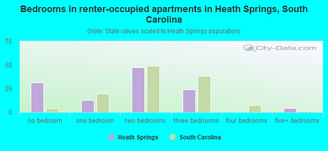 Bedrooms in renter-occupied apartments in Heath Springs, South Carolina