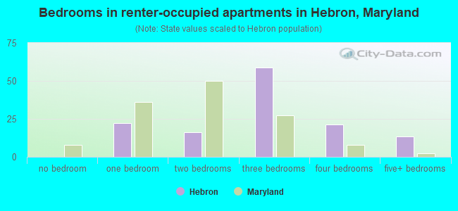 Bedrooms in renter-occupied apartments in Hebron, Maryland