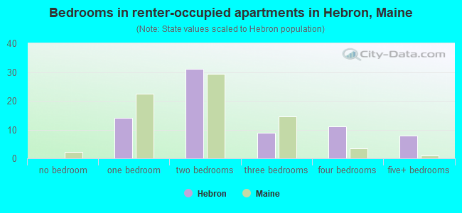 Bedrooms in renter-occupied apartments in Hebron, Maine