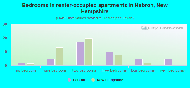 Bedrooms in renter-occupied apartments in Hebron, New Hampshire