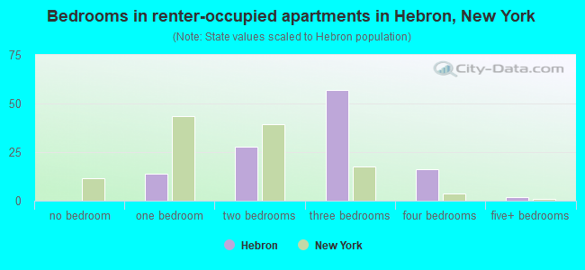 Bedrooms in renter-occupied apartments in Hebron, New York
