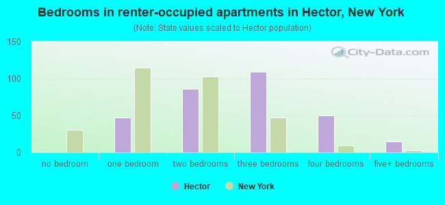 Bedrooms in renter-occupied apartments in Hector, New York