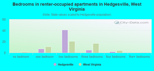 Bedrooms in renter-occupied apartments in Hedgesville, West Virginia