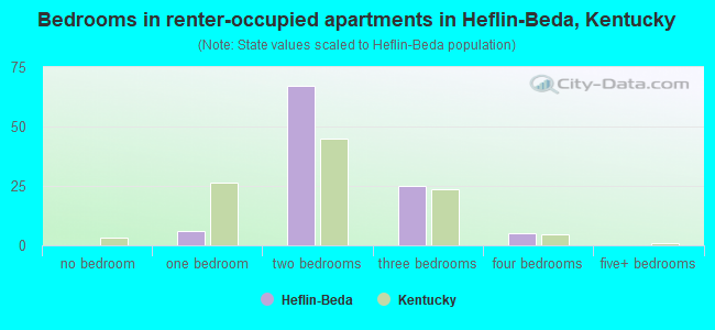 Bedrooms in renter-occupied apartments in Heflin-Beda, Kentucky