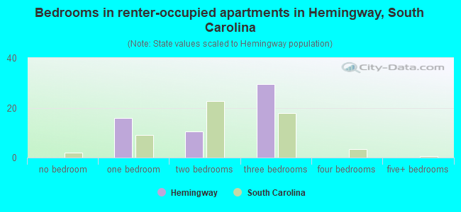 Bedrooms in renter-occupied apartments in Hemingway, South Carolina