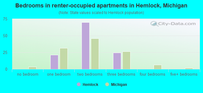 Bedrooms in renter-occupied apartments in Hemlock, Michigan