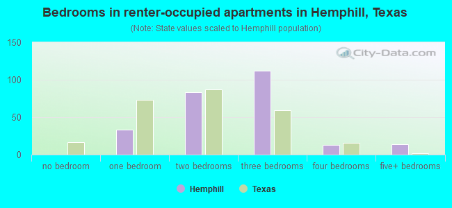 Bedrooms in renter-occupied apartments in Hemphill, Texas